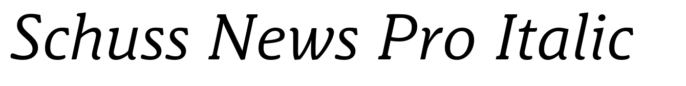 Schuss News Pro Italic